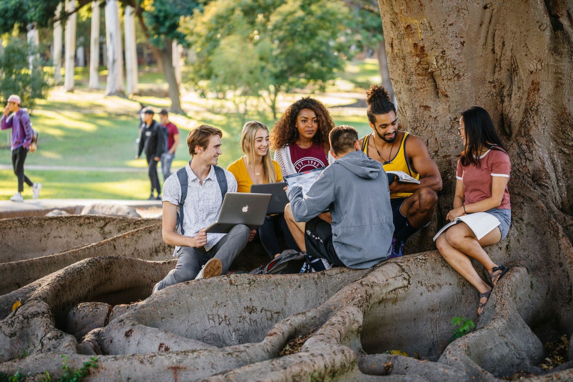 Group of students sitting under a tree in Aldrich Park