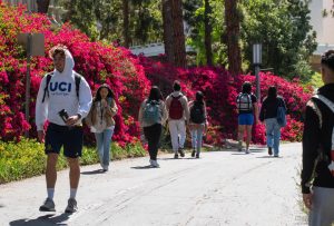 UCI Students walking in the park